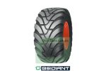 Шина 650/55R26.5 AGRITERRA 02 IMP 169D TBL Mitas